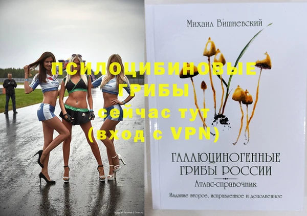 прущая мука Ессентукская