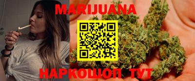 сатива Кингисепп