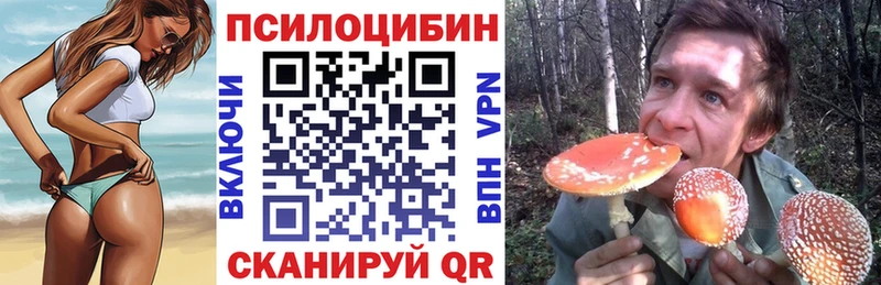 Галлюциногенные грибы Magic Shrooms  что такое наркотик  Петропавловск-Камчатский 