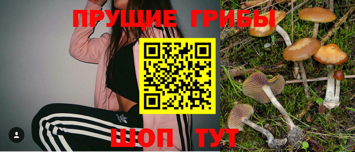 Псилоцибиновые грибы ЛСД  Псилоцибиновые грибы ЛСД  Петропавловск-Камчатский 