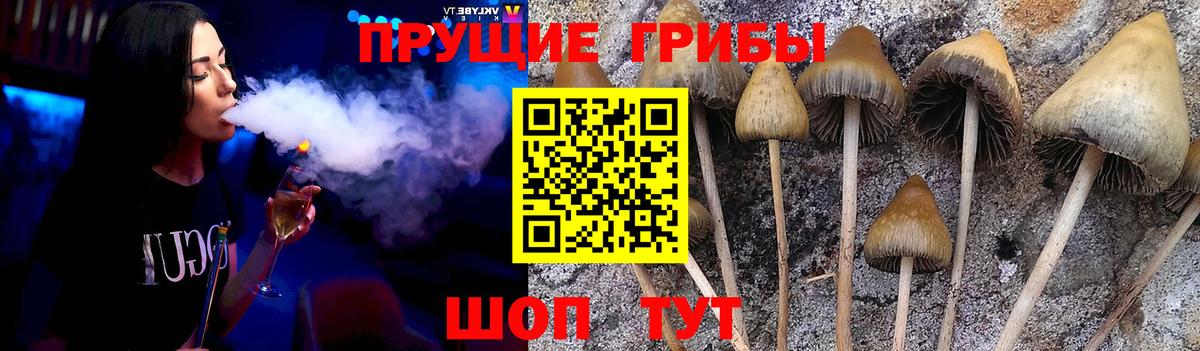 Псилоцибиновые грибы ЛСД  Галлюциногенные грибы Magic Shrooms  Вход с VPN  Петропавловск-Камчатский 