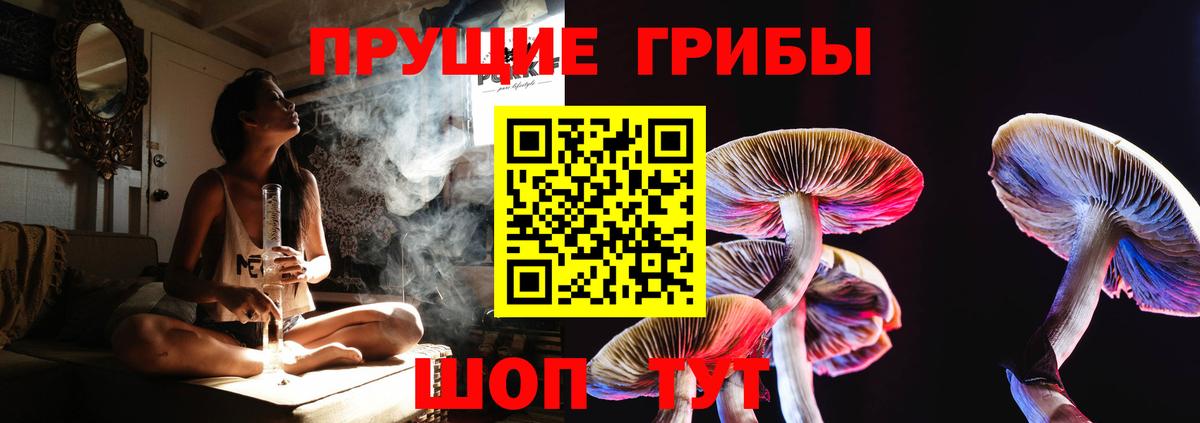 Псилоцибиновые грибы Cubensis Петропавловск-Камчатский